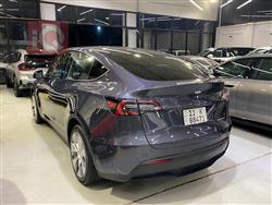 تسلا موديل Y